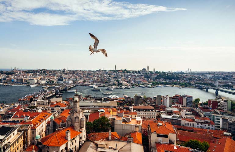 An aerial image of Istanbul Turkey with a view of the the Bosphorus River as it carves its way through the city, in the background is the Turkish landmark, the Hagia Sophia Mosque as a seagull flying overhead. The image depicts that romance and prestige of the Turkey citizenship by investment program offered by Astons